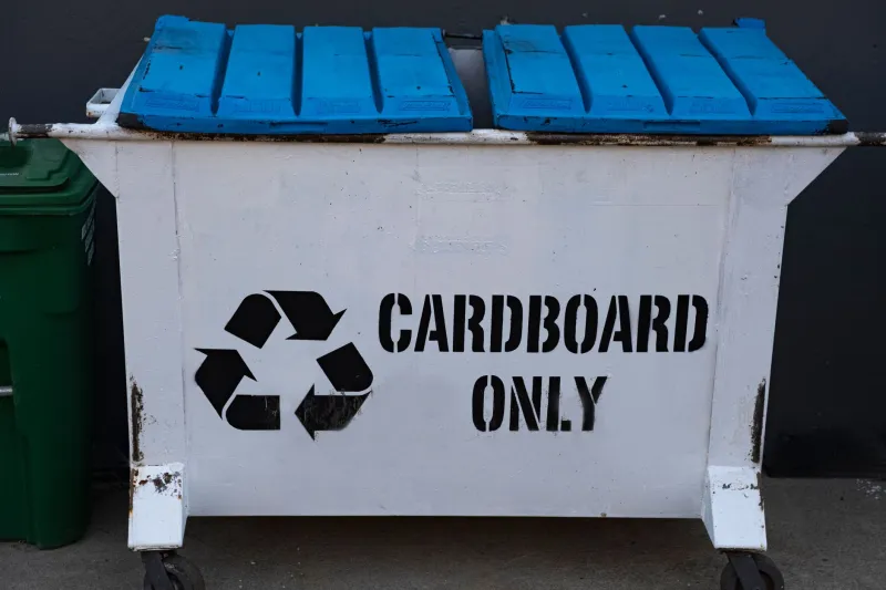 Stop Putting These 5 Items in Your Recycling Bin — You're Doing More Harm Than Good
