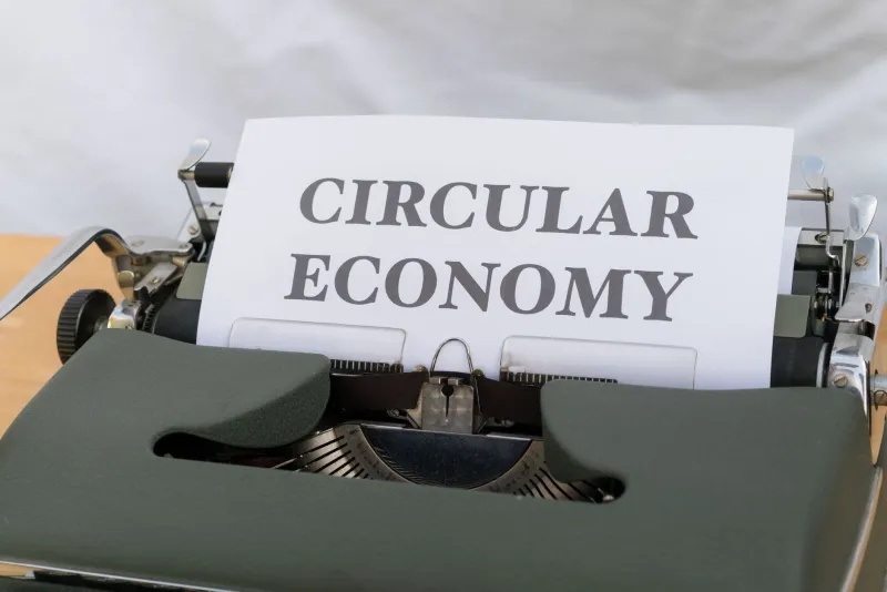 Waste to Wealth: 5 American Companies Turning Trash Into Thriving Businesses